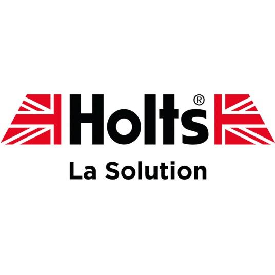 HOLTS